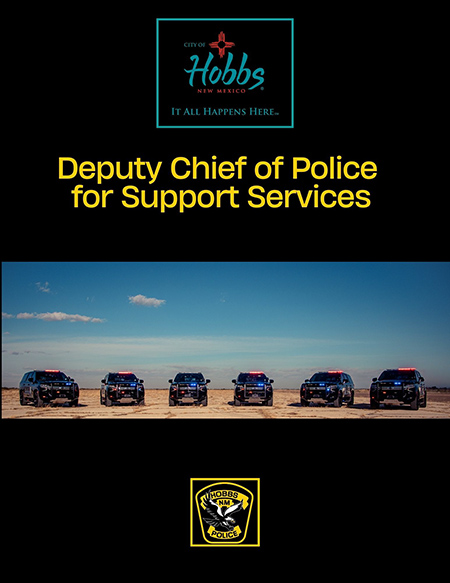 Deputy City Engineer - 1